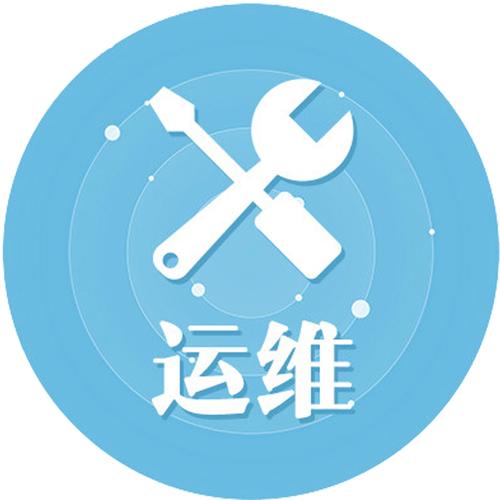 IT駐場服務 全球500強企業的嵌入式技術支持與創新驅動
