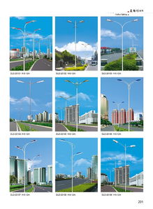 景誠廠直銷2015年新款DLD蘭州路燈與庭院燈 點亮城市與家園的節(jié)能之選