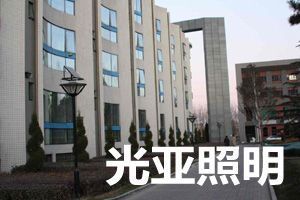 太陽能庭院燈廠 綠色照明與高效節(jié)能的完美融合